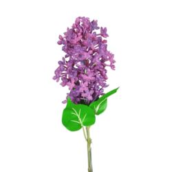 BEZ GAŁĄZKA GUMA 56cm PURE VIOLET
