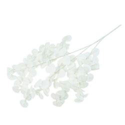 EUKALIPTUS GAŁĄZKA 89CM WHITE