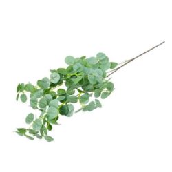 EUKALIPTUS GAŁĄZKA 89CM GREEN