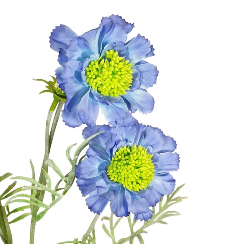 SCABIOSA 4 KWIATY FLOKOWANA 60CM BLUE