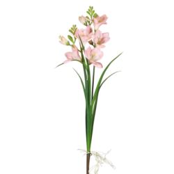 LILIOWIEC 2 PĘDY 60CM PINK