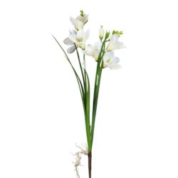 LILIOWIEC 2 PĘDY 60CM WHITE