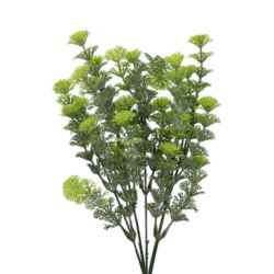 CABOMBA BUKIET DODATEK 5 GAŁĄZEK 35CM GREEN