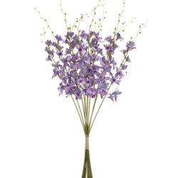 STORCZYK TAJLANDZKI 70CM SUN668 GRAPE