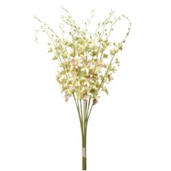 STORCZYK TAJLANDZKI 70CM SUN668 LT GREEN