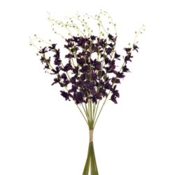 STORCZYK TAJLANDZKI 70CM SUN668  OBERGINE