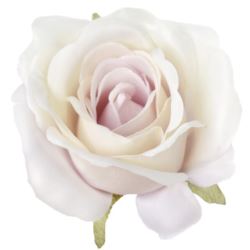 RÓŻA MGHT GŁÓWKA 9CM PEARL LT VIOLET LT GREEN