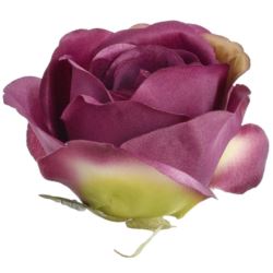 RÓŻA MGHT GŁÓWKA 9CM DIRTY DR VIOLET