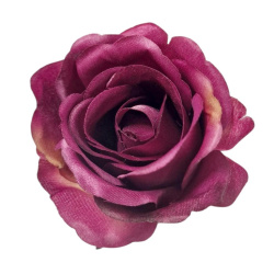 RÓŻA MGHT GŁÓWKA 9CM DIRTY DR VIOLET