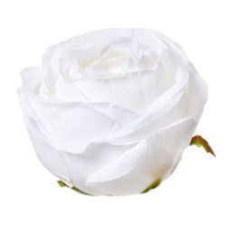 RÓŻA POPPY GŁOWA 9CM SUN564 PEARL WHITE