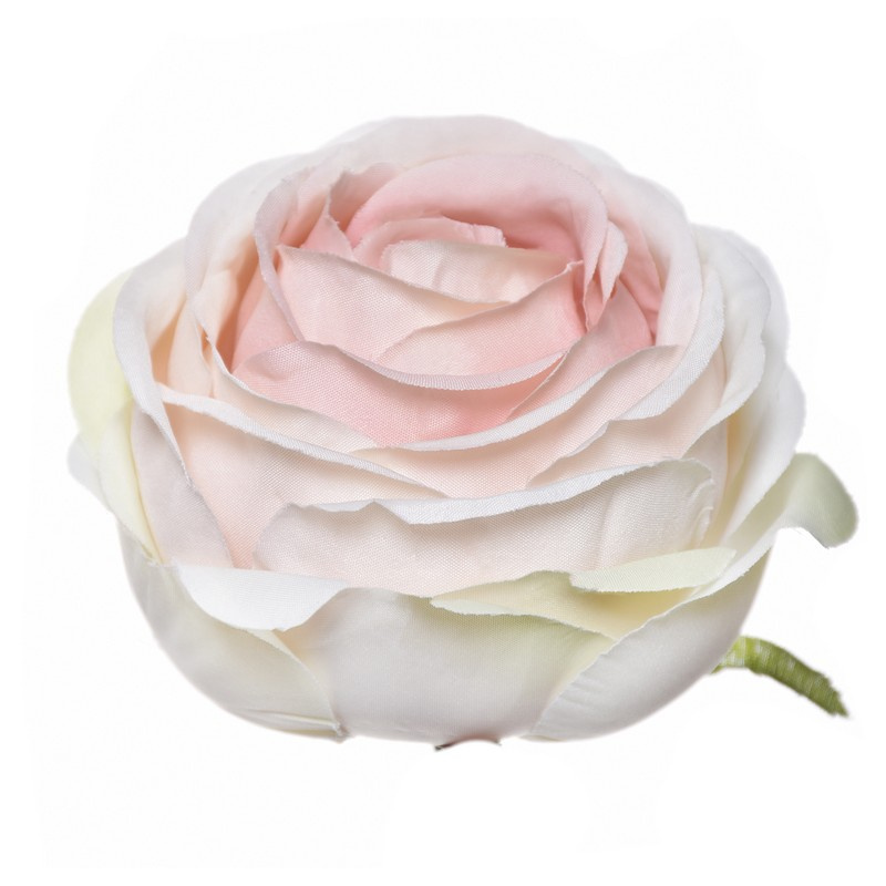 RÓŻA WYR. POPPY 7,5CM SUN564  PEACH LT.GREEN