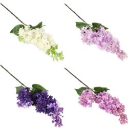 BEZ GAŁĄZKA 72CM GUMA 0152D RT MIX1 4 KOLORY