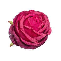 RÓŻA GŁOWKA 8CM NEW POPPY ROB DK FUCHSIA