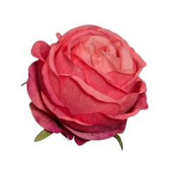 RÓŻA GŁOWKA 8CM NEW POPPY ROB PINK CORAL