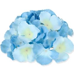 HORTENSJA GŁÓWKA 17CM / LE18 PACYFIC BLUE