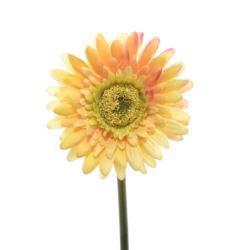 GERBERA POJEDYNCZA 47CM  SUN529 YELLOW