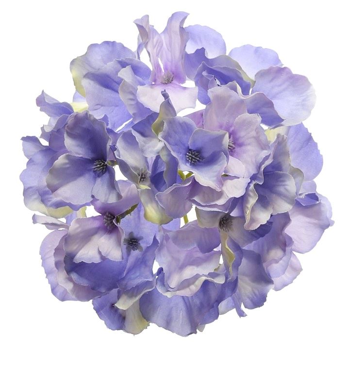 HORTENSJA GŁÓWKA 15CM SUN644 VIOLET