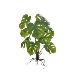 MONSTERA MAŁA BUKIET 32CM ART IVY12 GREEN