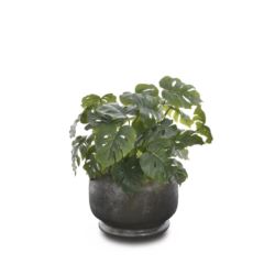 MONSTERA MAŁA BUKIET 32CM ART IVY12 GREEN