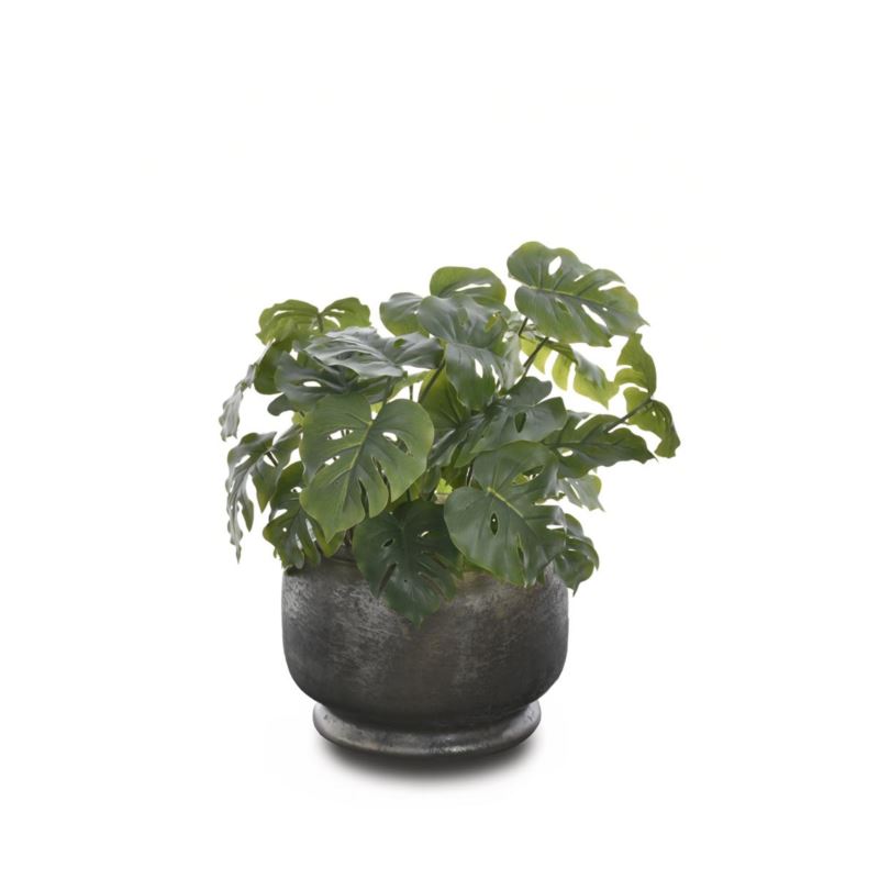 MONSTERA MAŁA BUKIET 32CM ART IVY12 GREEN