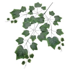 LIŚĆ OMSZAŁY WINOBLUSZCZ GAŁĄZKA 72CM POWDER GREEN