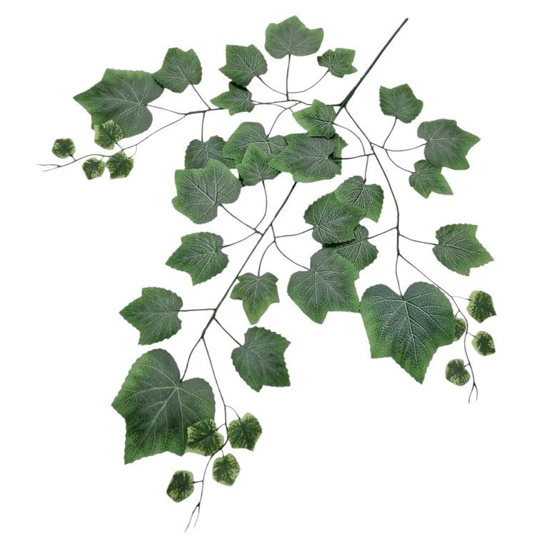 LIŚĆ OMSZAŁY WINOBLUSZCZ GAŁĄZKA 72CM POWDER GREEN