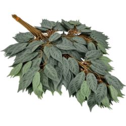LIŚĆ FIKUS OMSZAŁY 59CM / CF42-86 POWDER GREEN