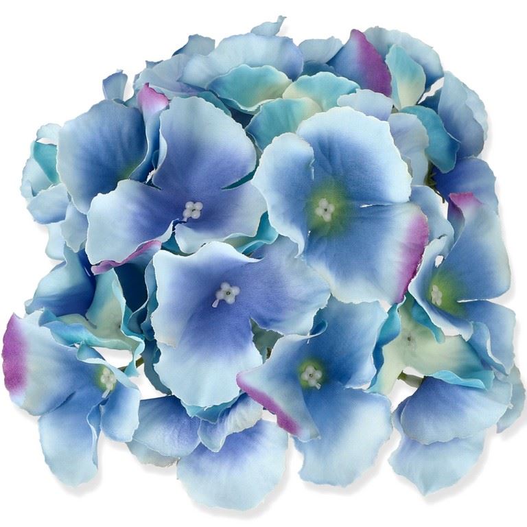 HORTENSJA GŁÓWKA 17CM / LE18 BLUE COMB