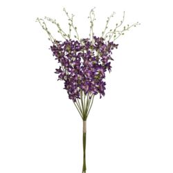 STORCZYK TAJLANDZKI 70CM SUN668 PURPLE