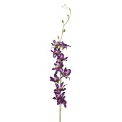 STORCZYK TAJLANDZKI 70CM SUN668 PURPLE