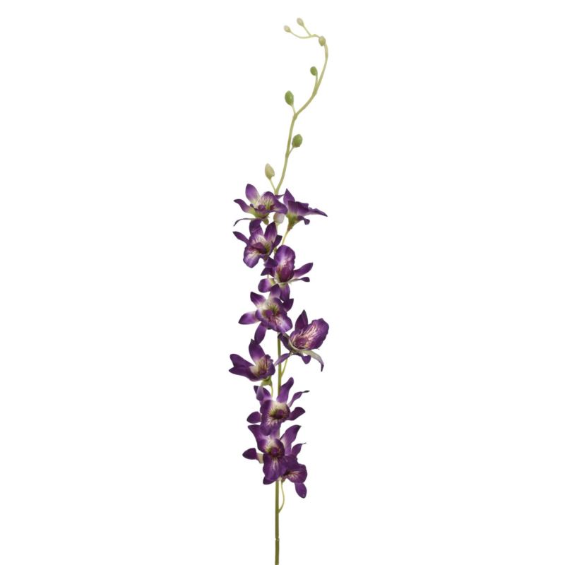 STORCZYK TAJLANDZKI 70CM SUN668 PURPLE
