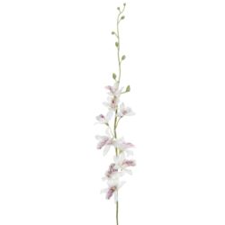STORCZYK TAJLANDZKI 70CM SUN668 WHITE BEAUTY