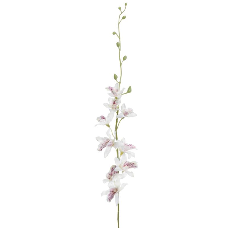 STORCZYK TAJLANDZKI 70CM SUN668 WHITE BEAUTY