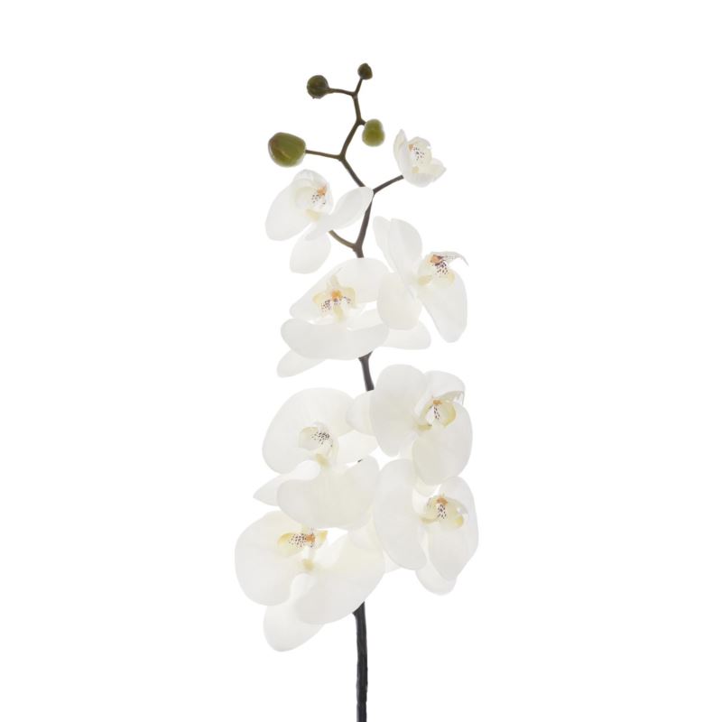 STORCZYK PHALENOPSIS 95CM SUN878 WHITE