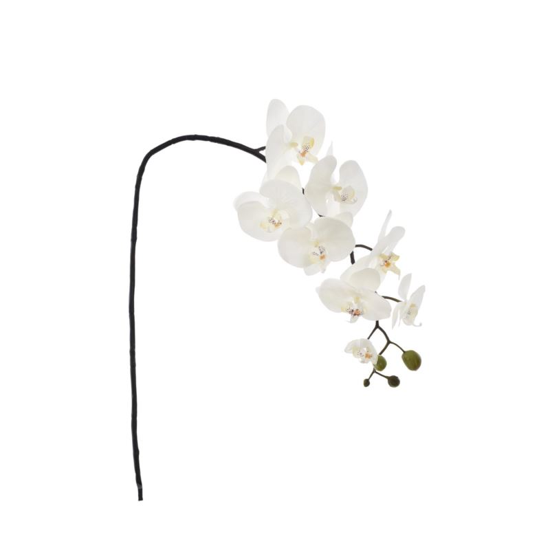 STORCZYK PHALENOPSIS 95CM SUN878 WHITE