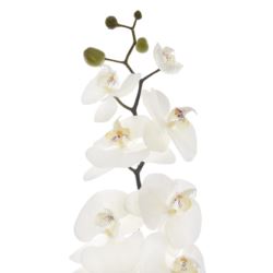 STORCZYK PHALENOPSIS 95CM SUN878 WHITE