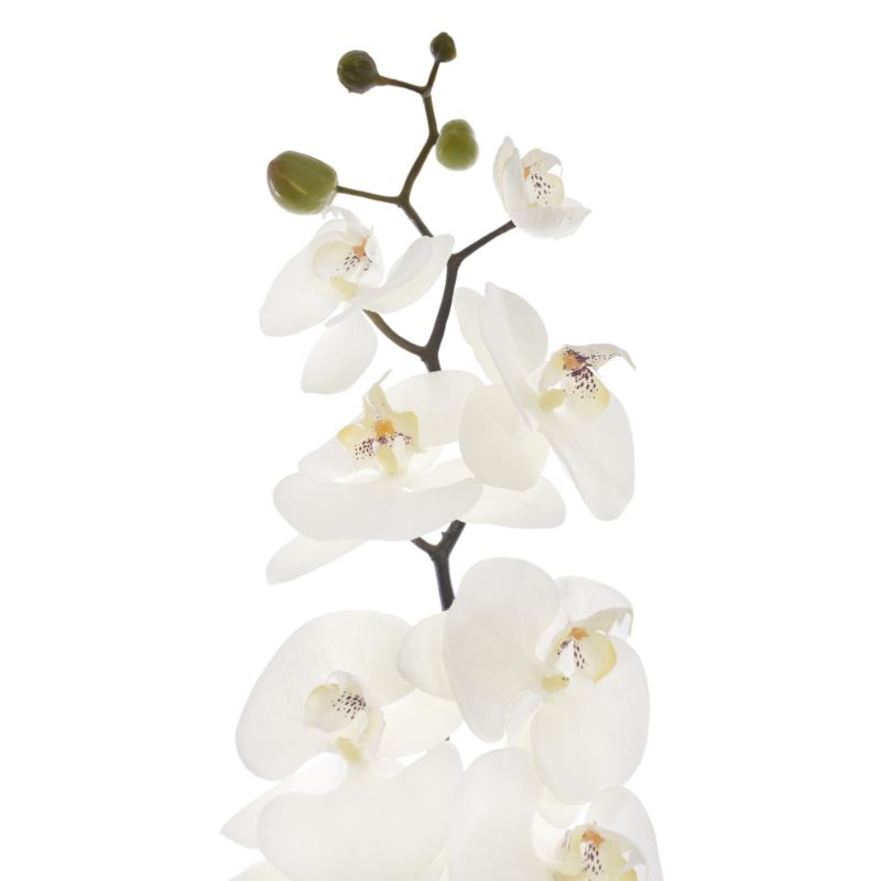 STORCZYK PHALENOPSIS 95CM SUN878 WHITE