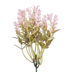 WRZOS PIK 771-1 40CM GREEN PINK