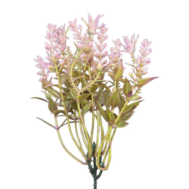 WRZOS PIK 771-1 40CM GREEN PINK