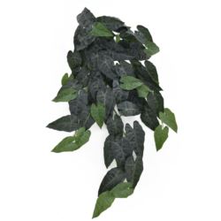 BLUSZCZ ALOKAZJA 95CM ART IVY10 DR GREEN