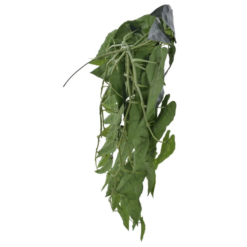 BLUSZCZ ALOKAZJA 95CM ART IVY10 DR GREEN