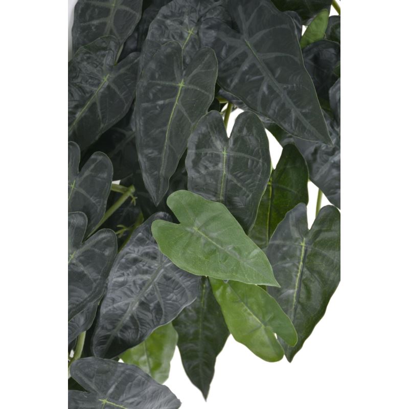 BLUSZCZ ALOKAZJA 95CM ART IVY10 DR GREEN