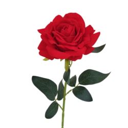 RÓŻA POJ. WELUROWA 75CM RED