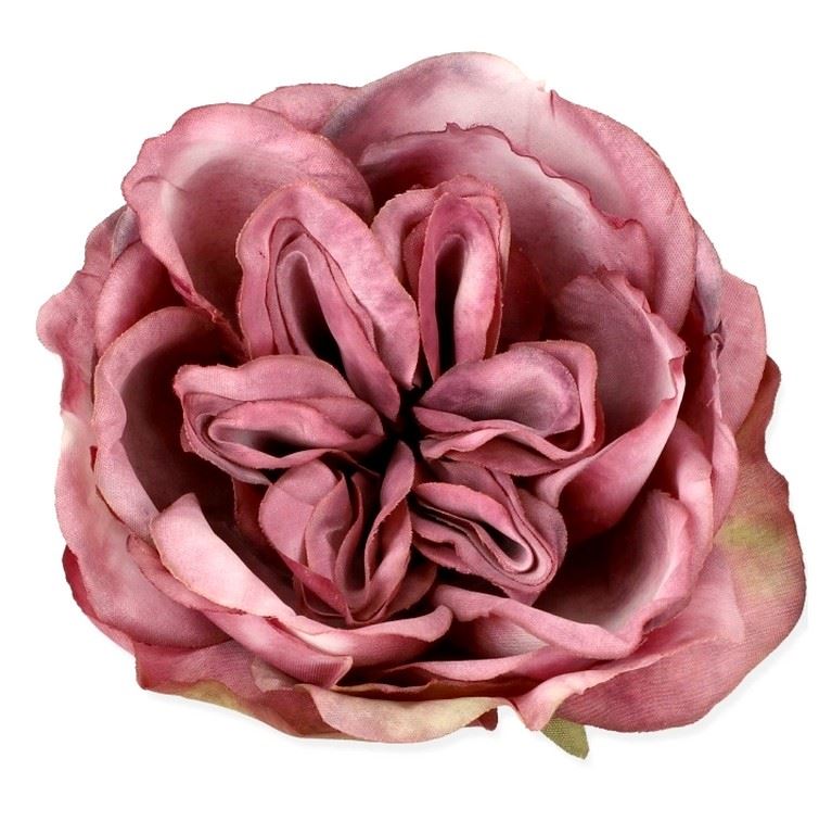 RÓŻA ANGIELSKA – GŁOWA 9CM 10120H DK MAUVE