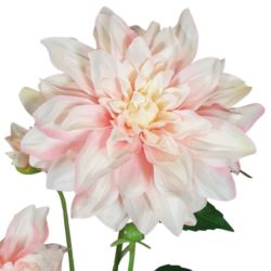 DALIA 3 KWIATY 72CM LT PINK