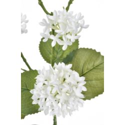 KALINA GAŁĄZKA 80CM TPY1004 RT WHITE