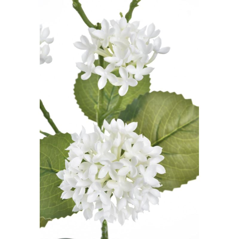 KALINA GAŁĄZKA 80CM TPY1004 RT WHITE