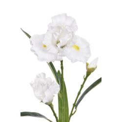 IRYS GAŁĄZKA 80CM TPY1005 RT WHITE