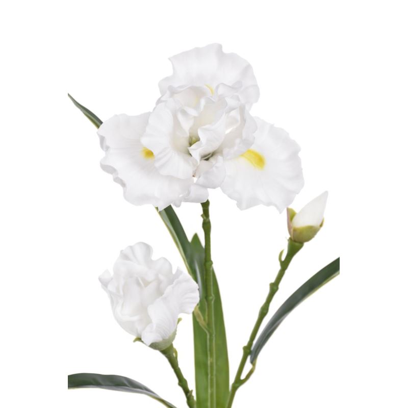 IRYS GAŁĄZKA 80CM TPY1005 RT WHITE