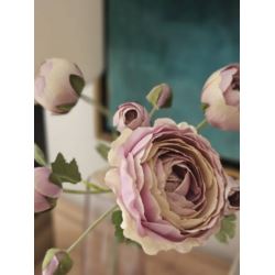 PEŁNIK RANUNCULUS PĘCZEK 50CM POWDER LT VIOLET